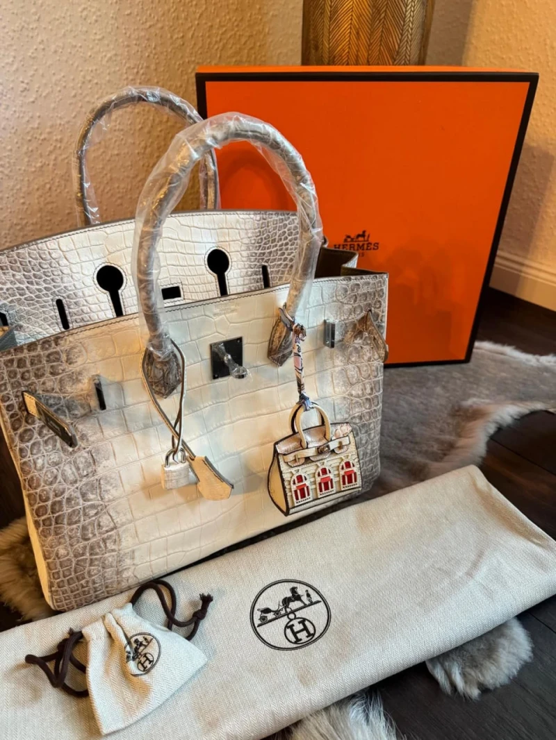 Hermes Birkin Himalaya