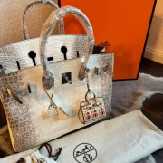 Hermes Birkin Himalaya