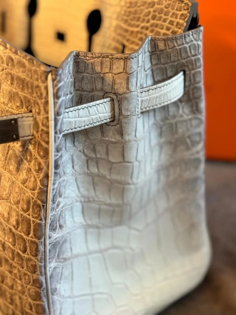 Hermes Birkin Himalaya