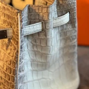 Hermes Birkin Himalaya