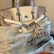 Hermes Birkin Himalaya