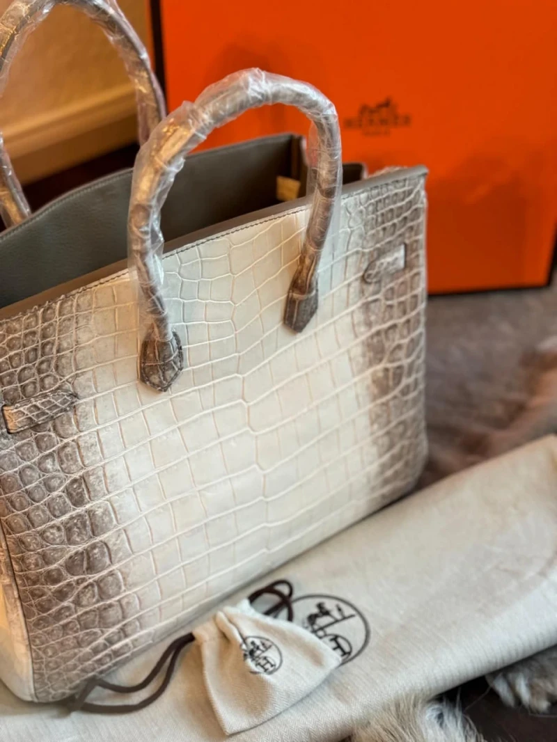 Hermes Birkin Himalaya