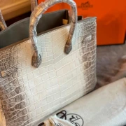 Hermes Birkin Himalaya