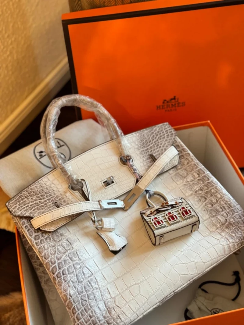 Hermes Birkin Himalaya